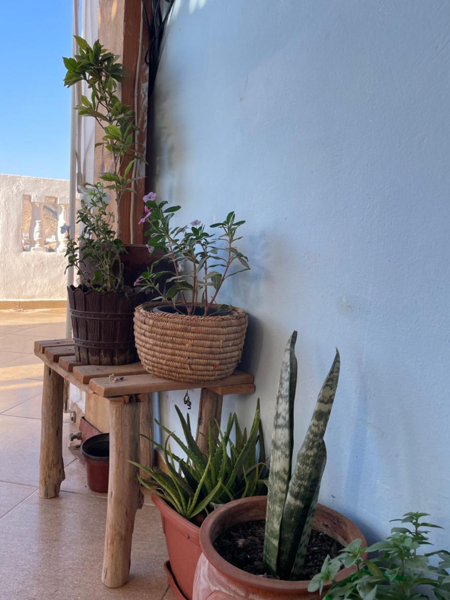 Hotel Kosasurfmorocco Awrir Zewnętrze zdjęcie